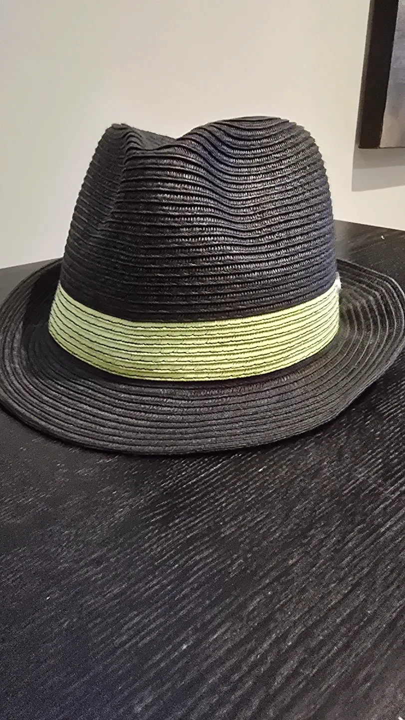 J Hats Black Fedora with Las Vegas Pin image indicator(2)