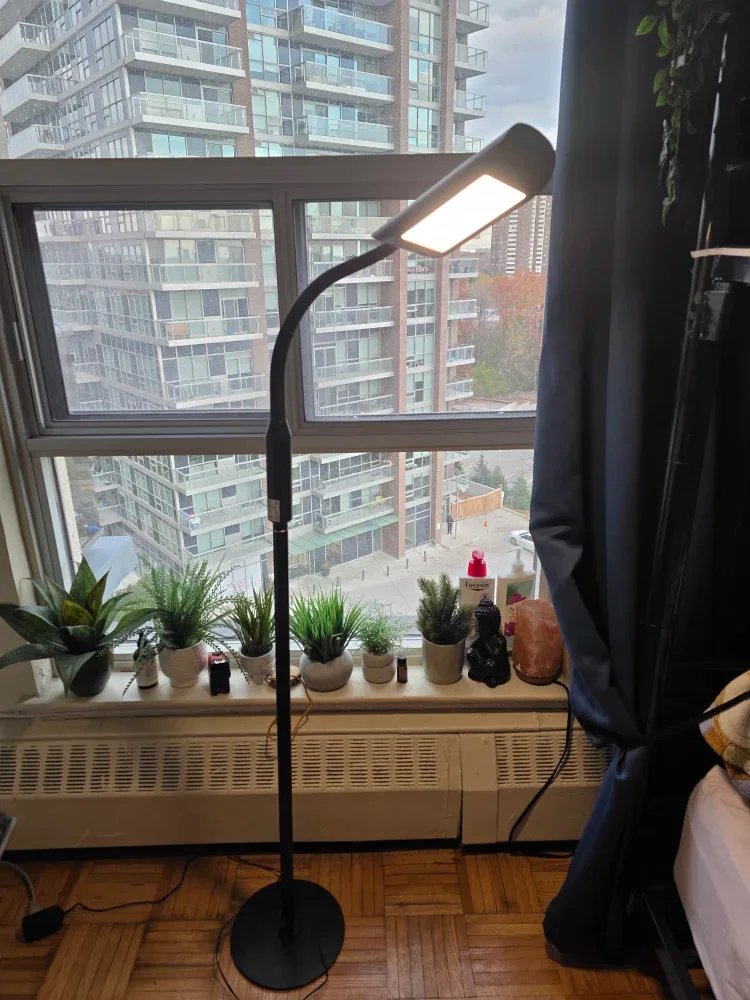 LED Floor Lamp - Black image indicator(3)