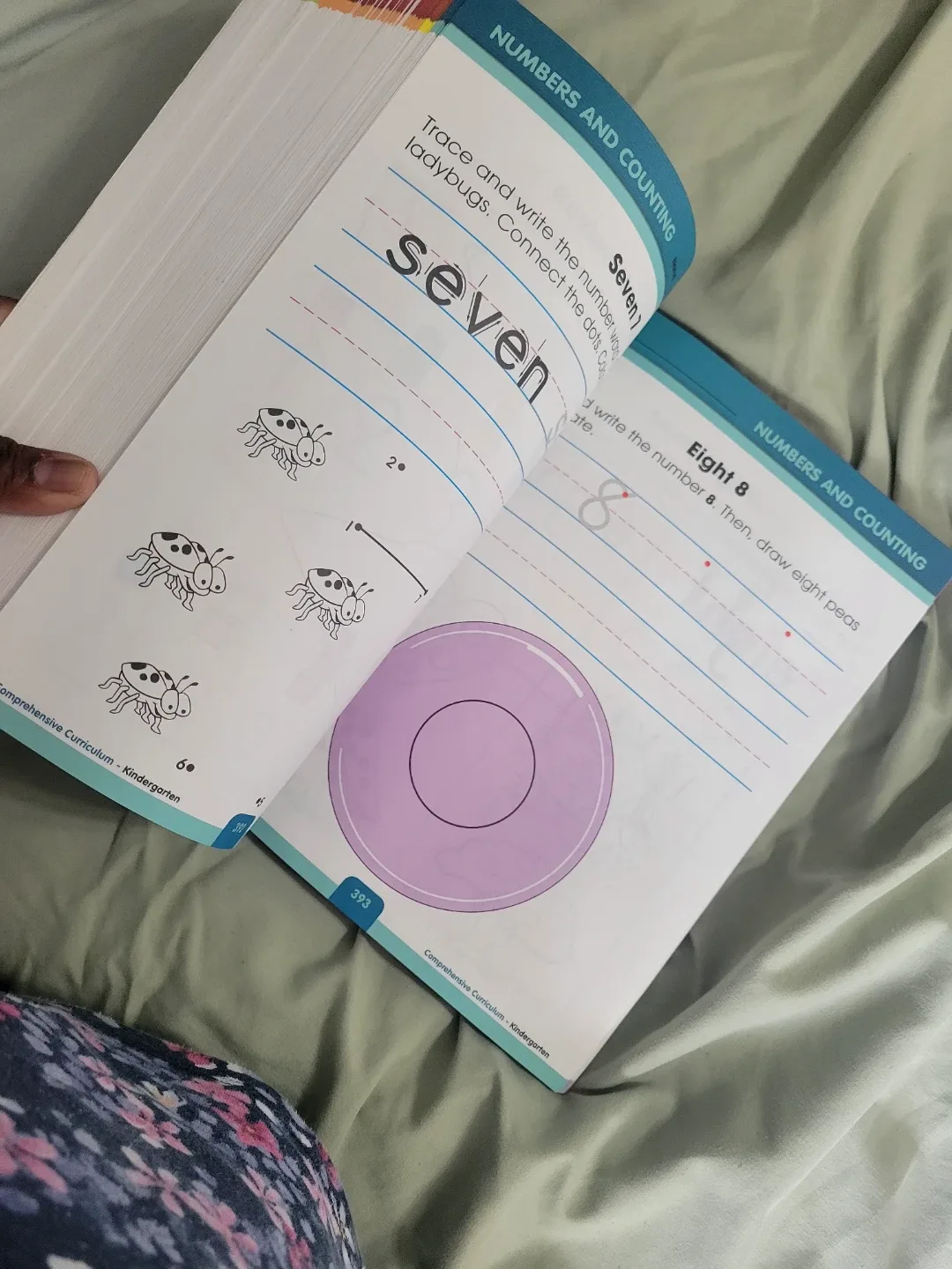 Curriculum book  - Kindergarten image indicator(2)