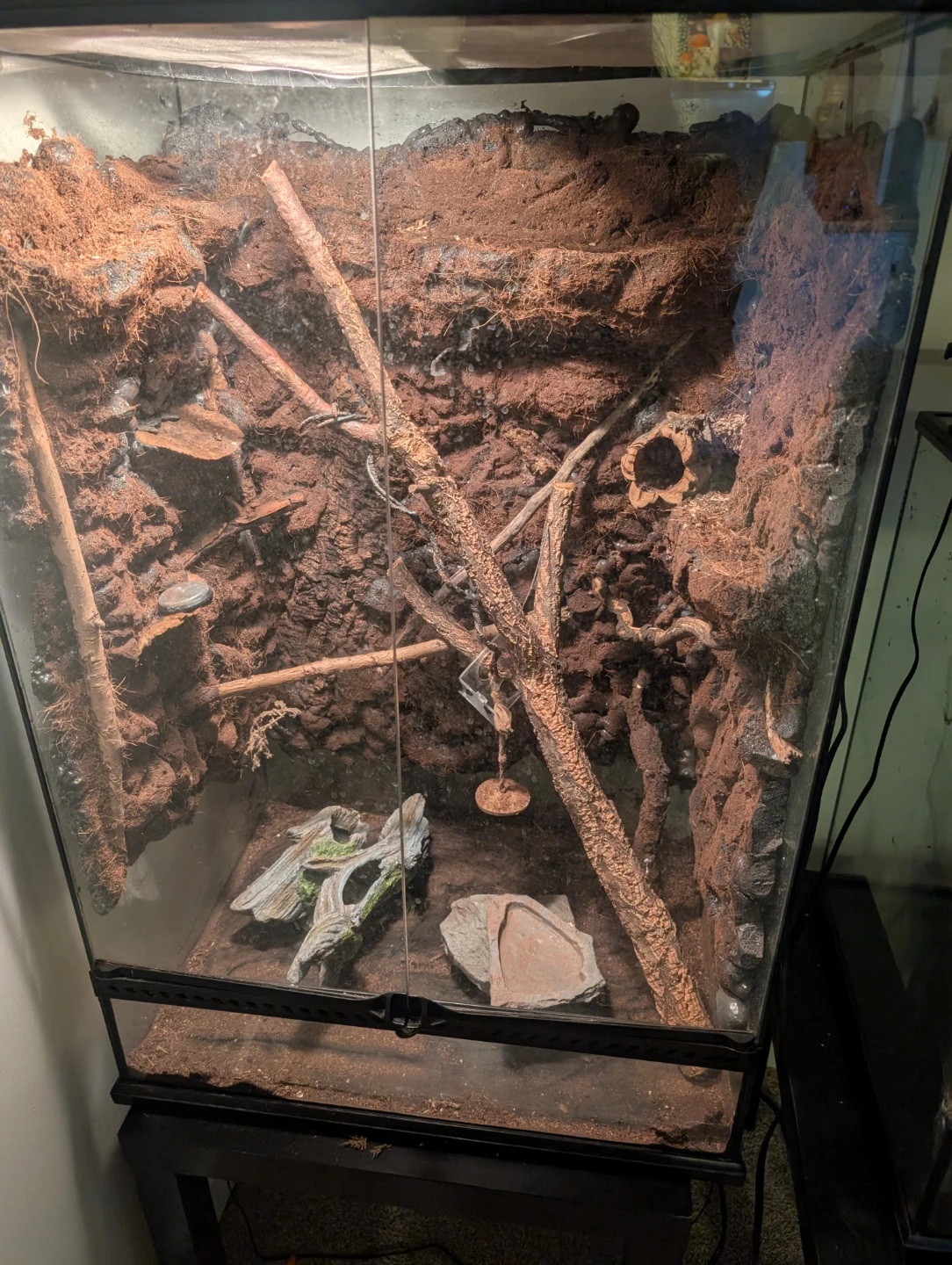 Custom Reptile Terrarium - 24" x 24" x 36"
