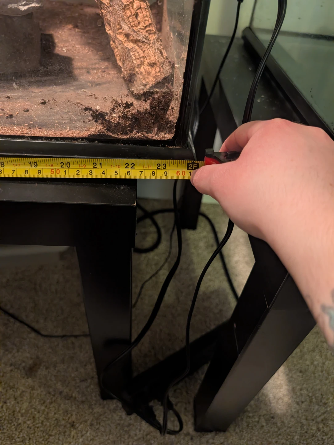 Custom Reptile Terrarium - 24" x 24" x 36" - photo 2