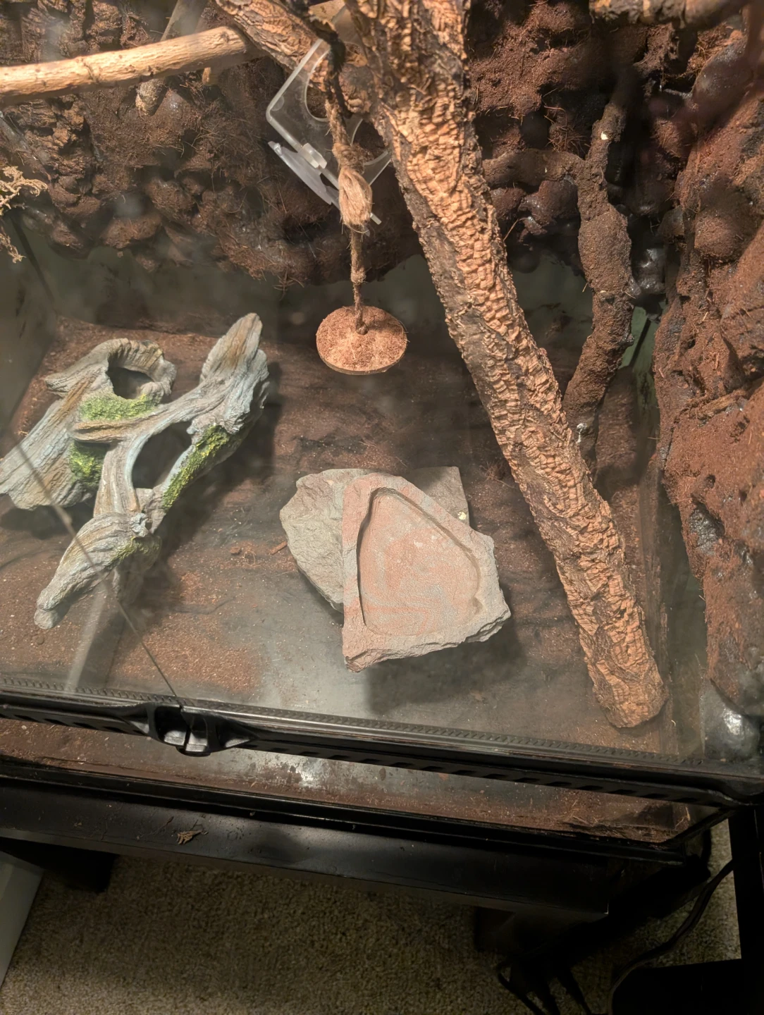 Custom Reptile Terrarium - 24" x 24" x 36" - photo 4