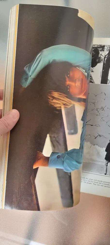 Vintage Playboy Magazines from 1969 image indicator(2)