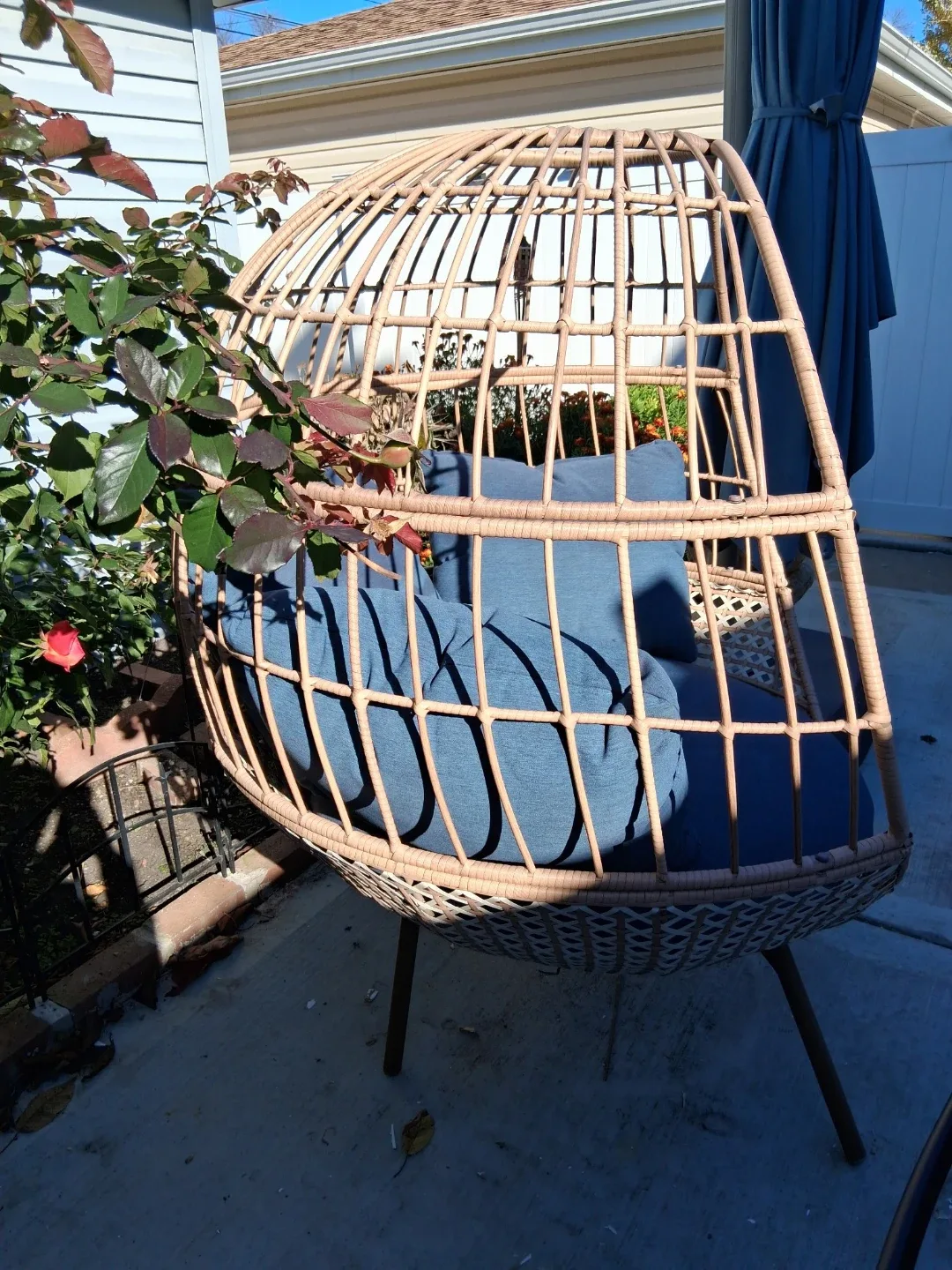 Rattan Egg Chair with Blue Cushions image indicator(6)