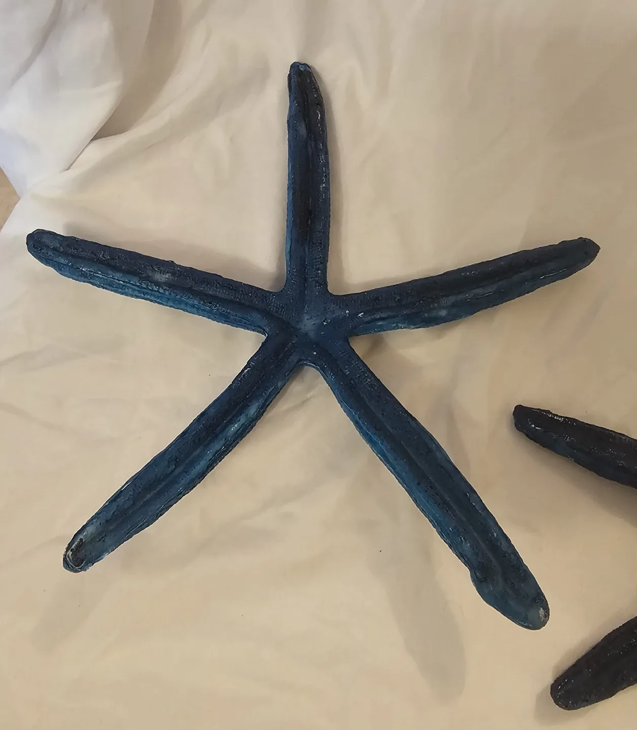 2 Blue and White Starfish Nautical Decoration image indicator(4)