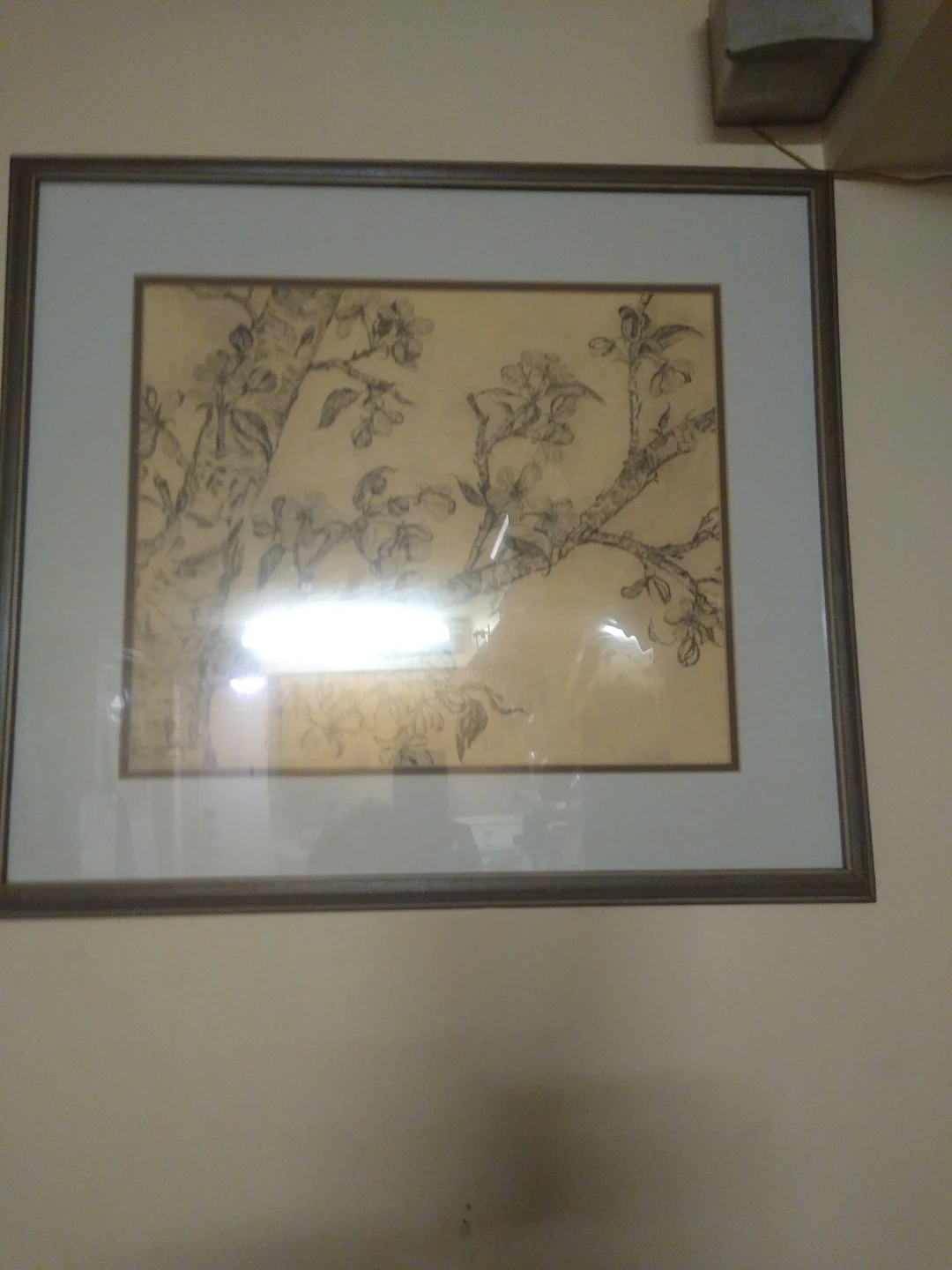 Vintage cherry blossom tree sketched picture I