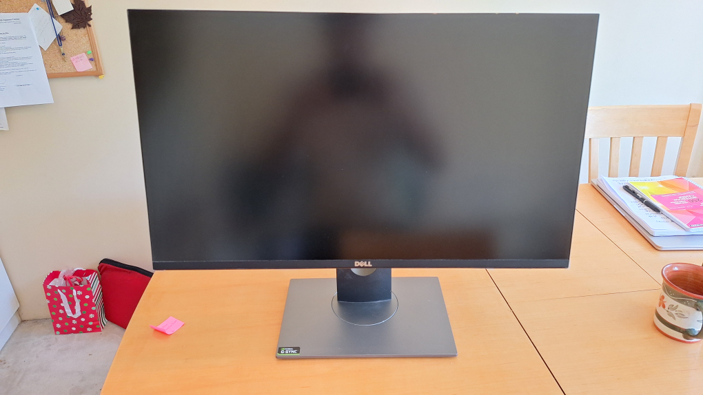 Dell Monitor 27" QHD S2716DG 144hz Monitor