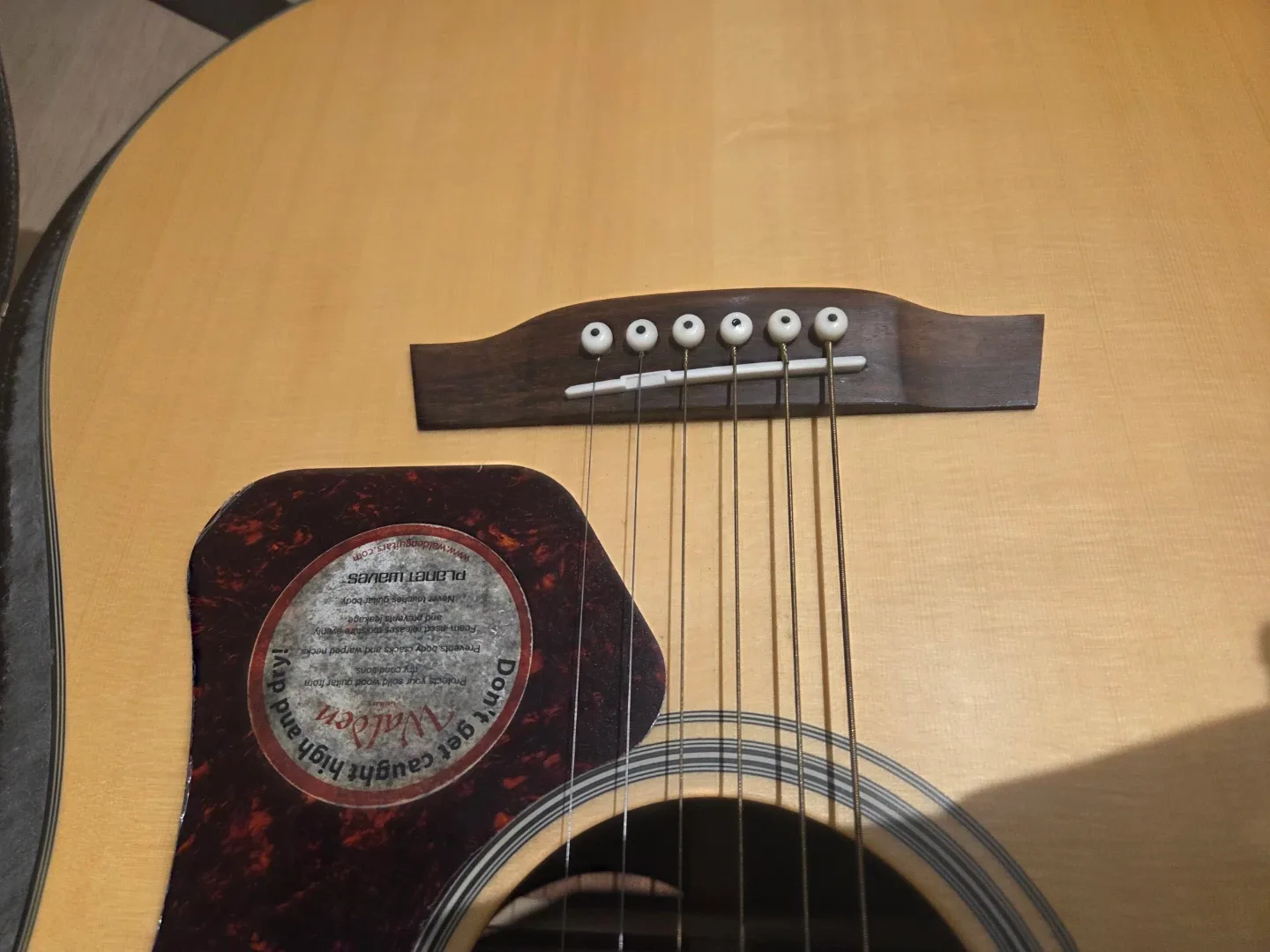 Walden Natura D550CE Acoustic-electric Guitar image indicator(4)