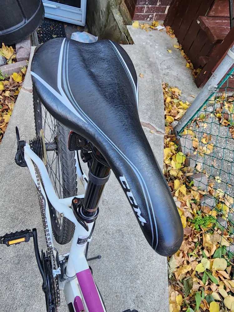 CCM Krossport Bike - 17" Frame image indicator(7)