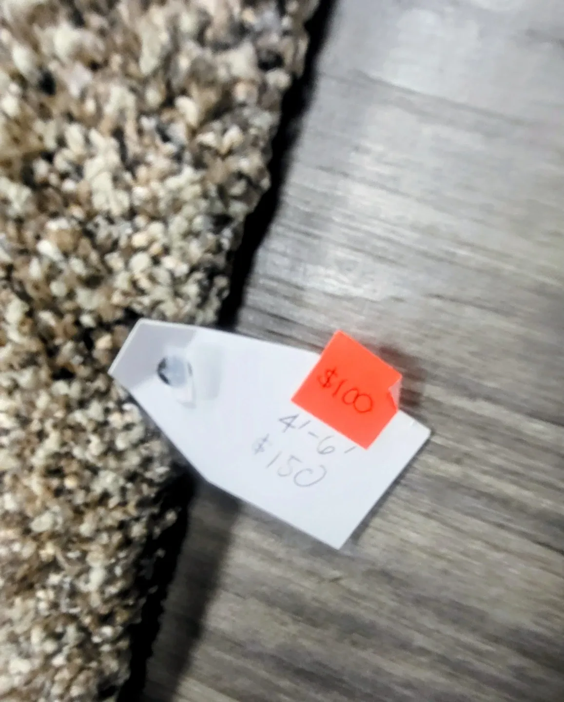 4' x 6' Area Rug - New! image indicator(2)