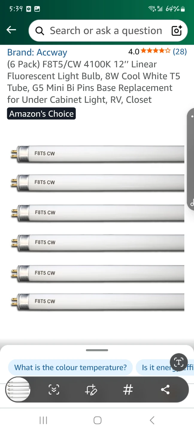 Accway F8T5/CW 4100K 12" Linear Fluorescent Light Bulb (6-Pack)