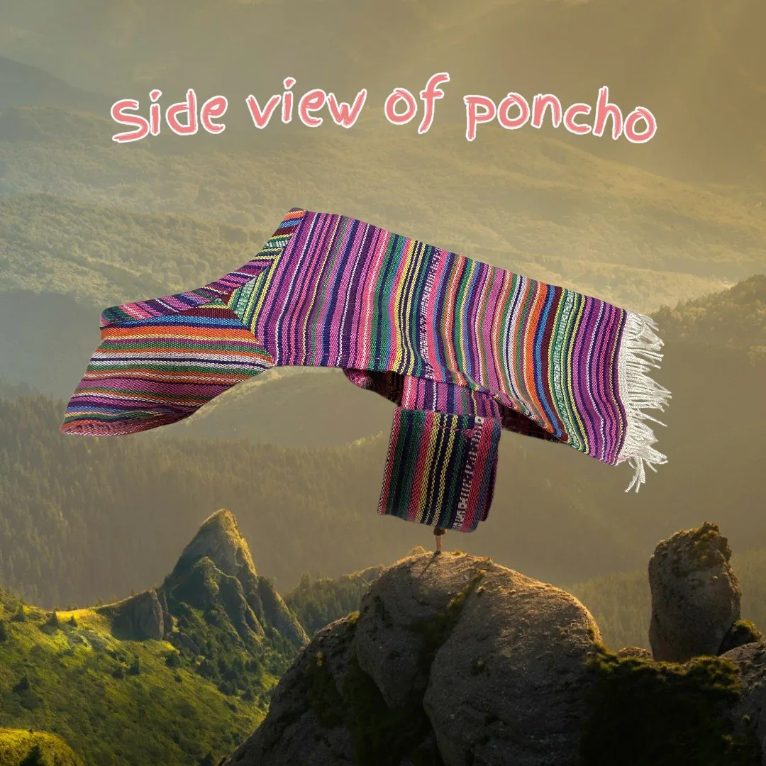 Dog clothes - Size S/M image indicator(5)