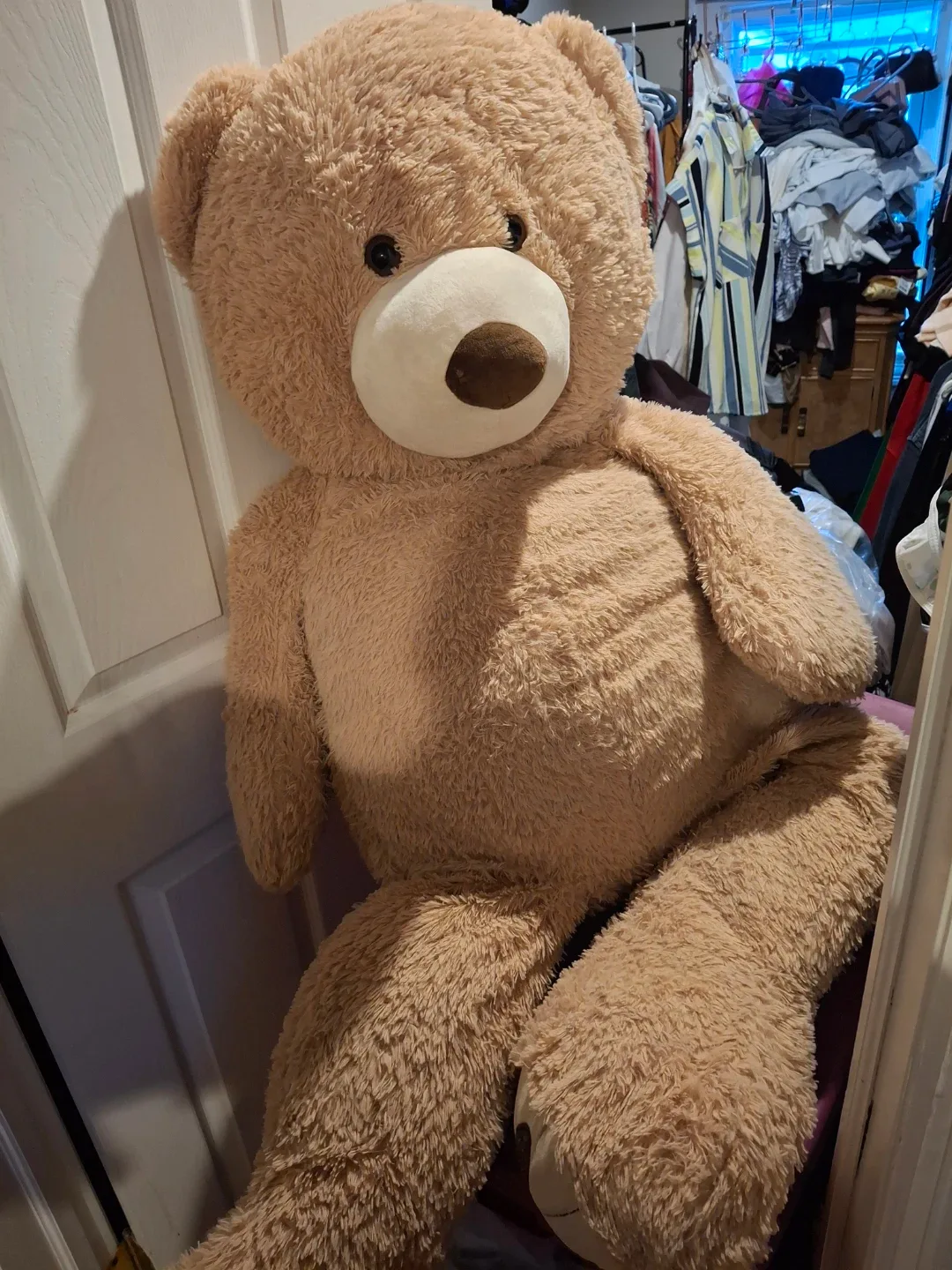 Giant Teddy Bear image indicator(2)