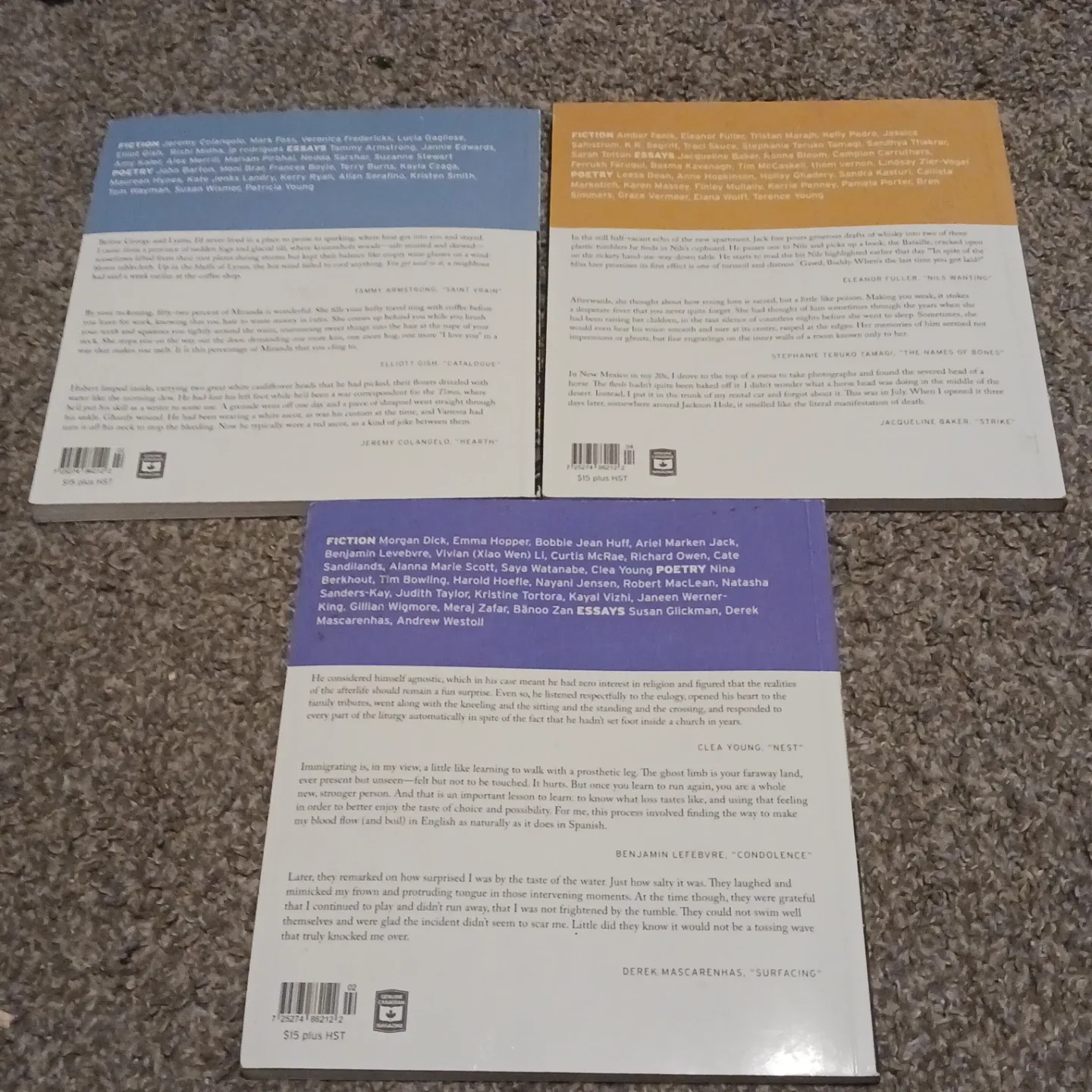 The New Quarterly Canadian Writers & Writing Magazines image indicator(6)