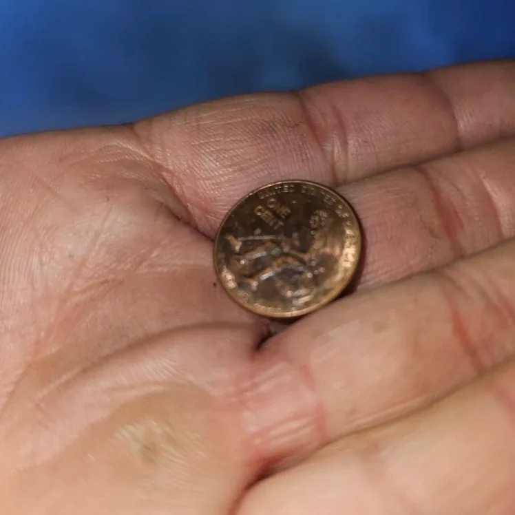 2009 discolored rare penny image indicator(4)
