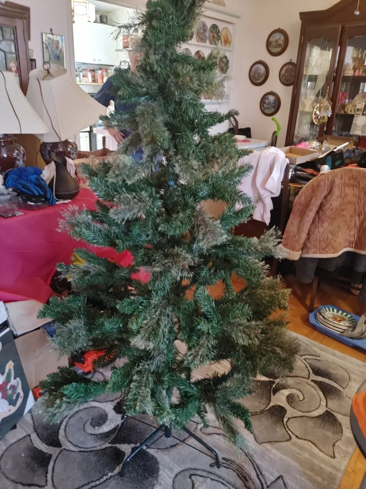 6ft Laurentian Pine Tree image indicator(2)