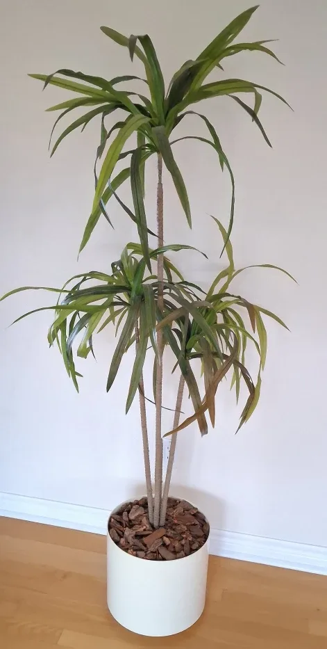 Faux Dracaena Plant in White Pot