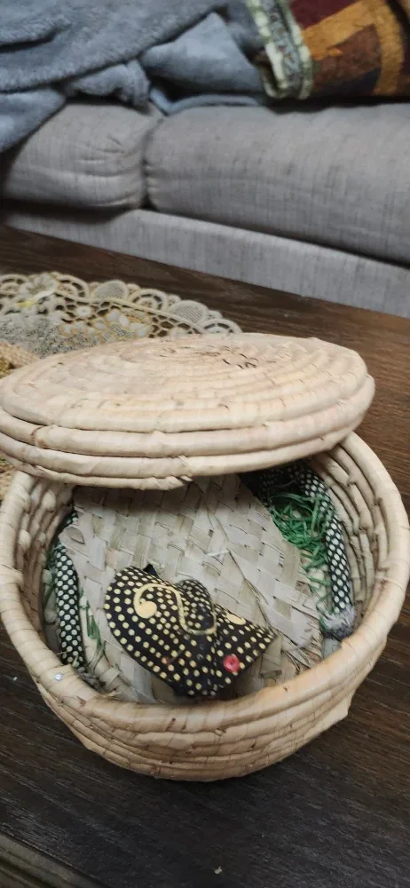 Woven Basket with Lid ( Fake snake )