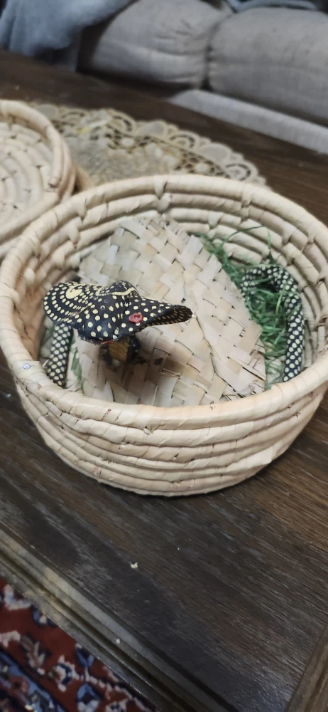 Woven Basket with Lid ( Fake snake ) - photo 2