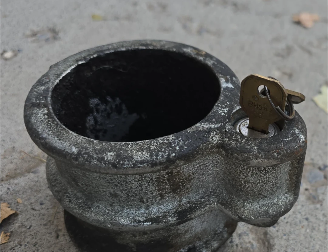 Kingpin Lock with Key