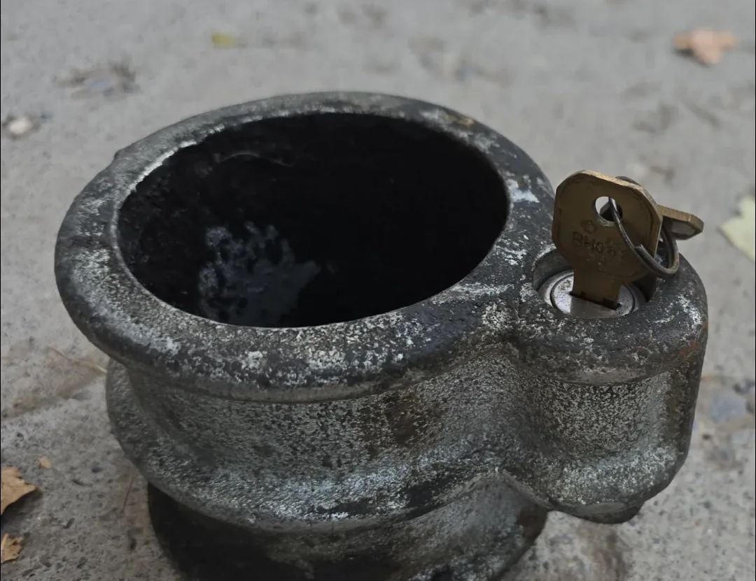 Kingpin Lock with Key