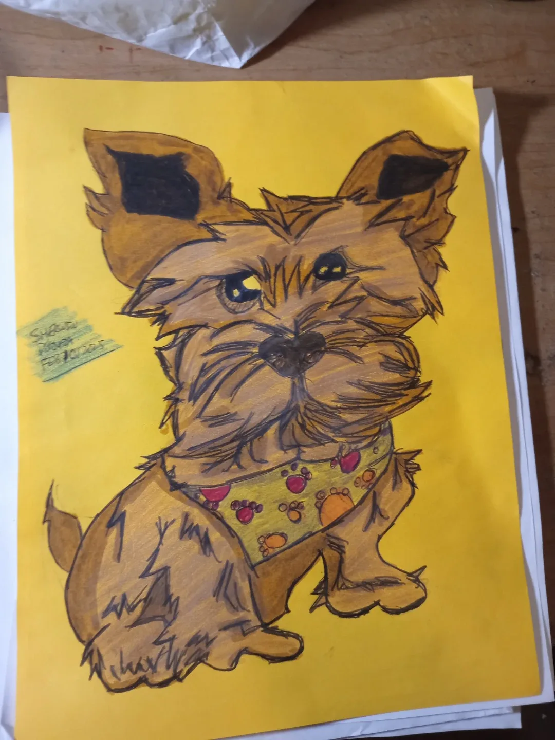 Drawings Illustrations Art by Custom Artist Sherwin thumbnail