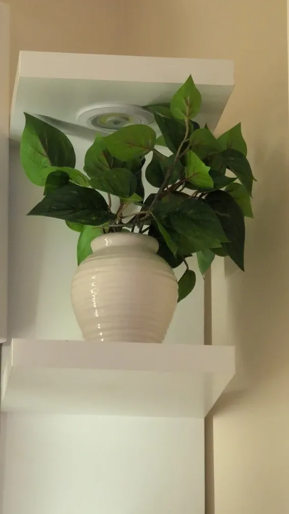 Artificial Plant in Ceramic Vase