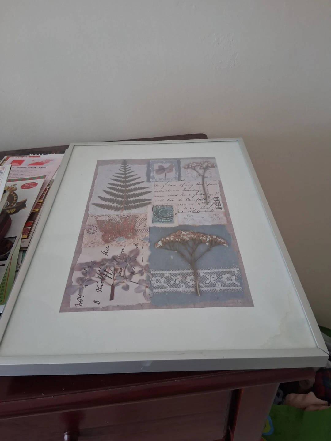 Framed Botanical Print Wall Art