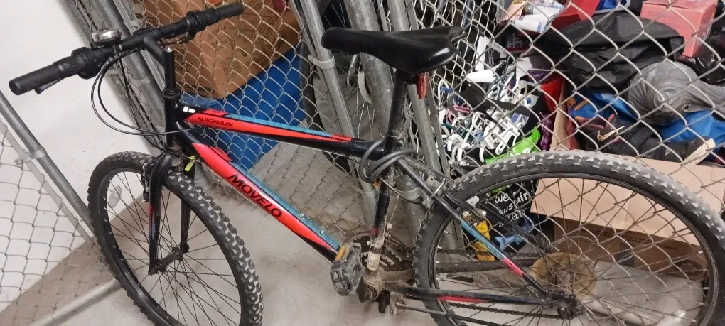 Movelo Algonquin Bike