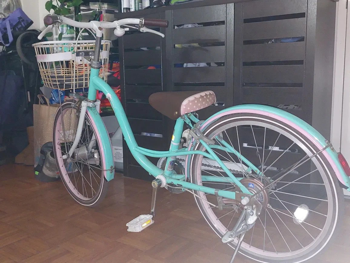 Turquoise Comfort Cruiser Bike