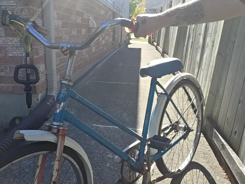 Vintage Blue Bicycle image indicator(2)