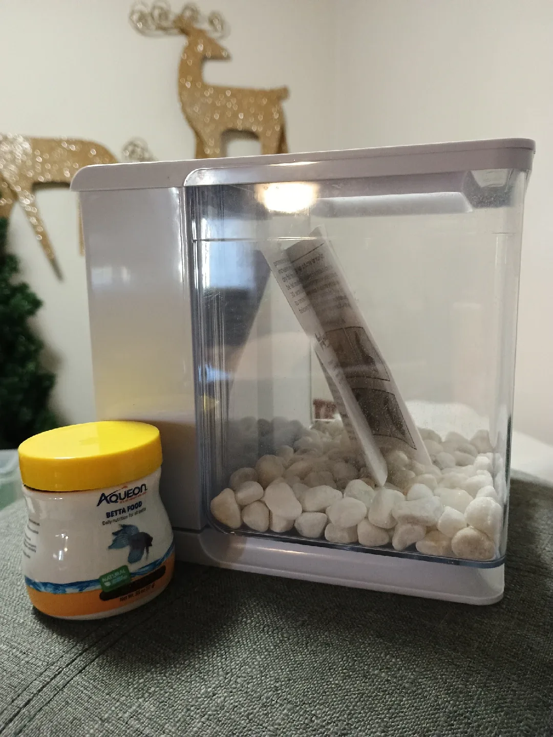 Marina Betta EZ Care Aquarium Kit - 2.5L image indicator(2)