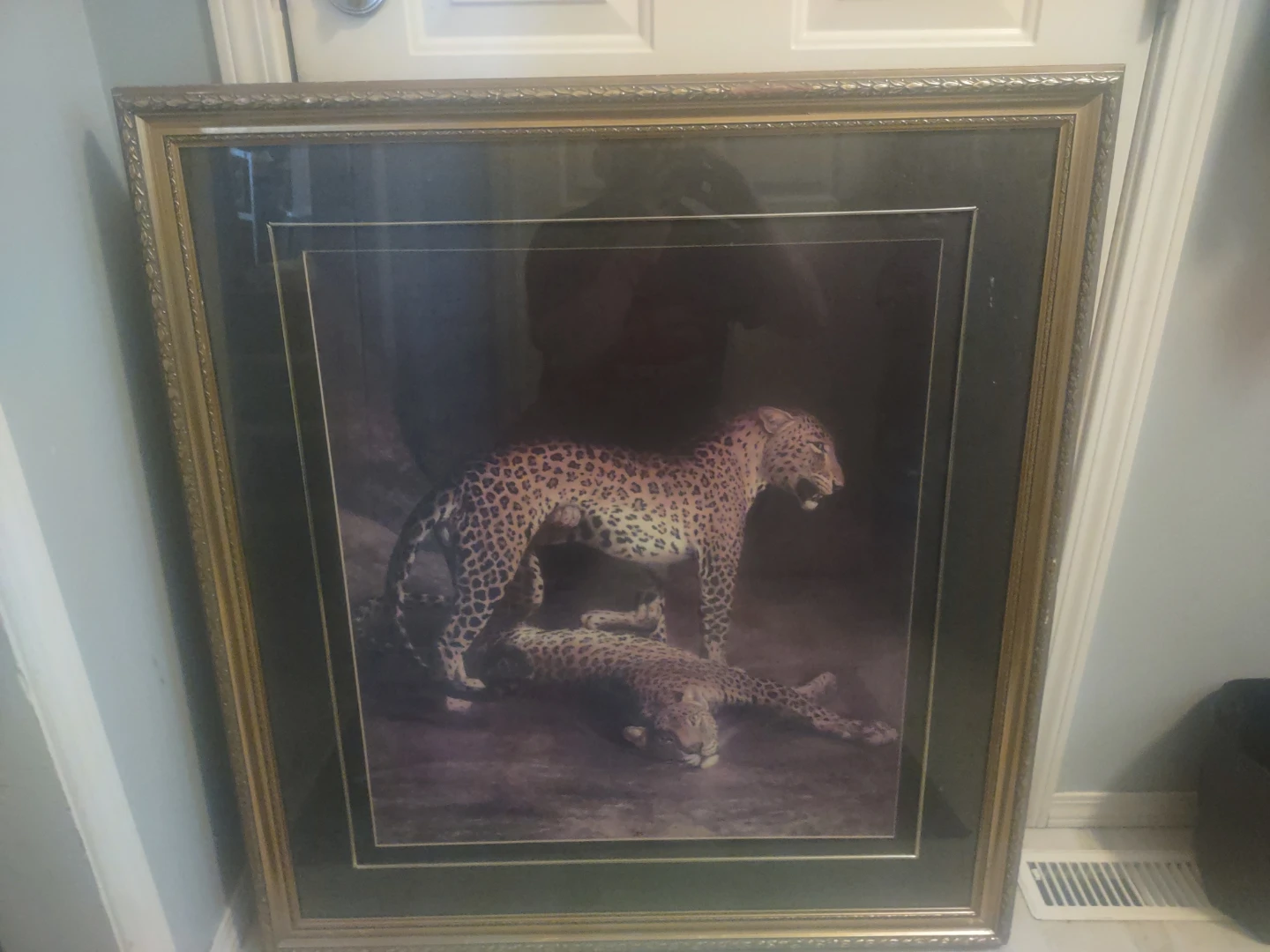 Framed Leopard Print