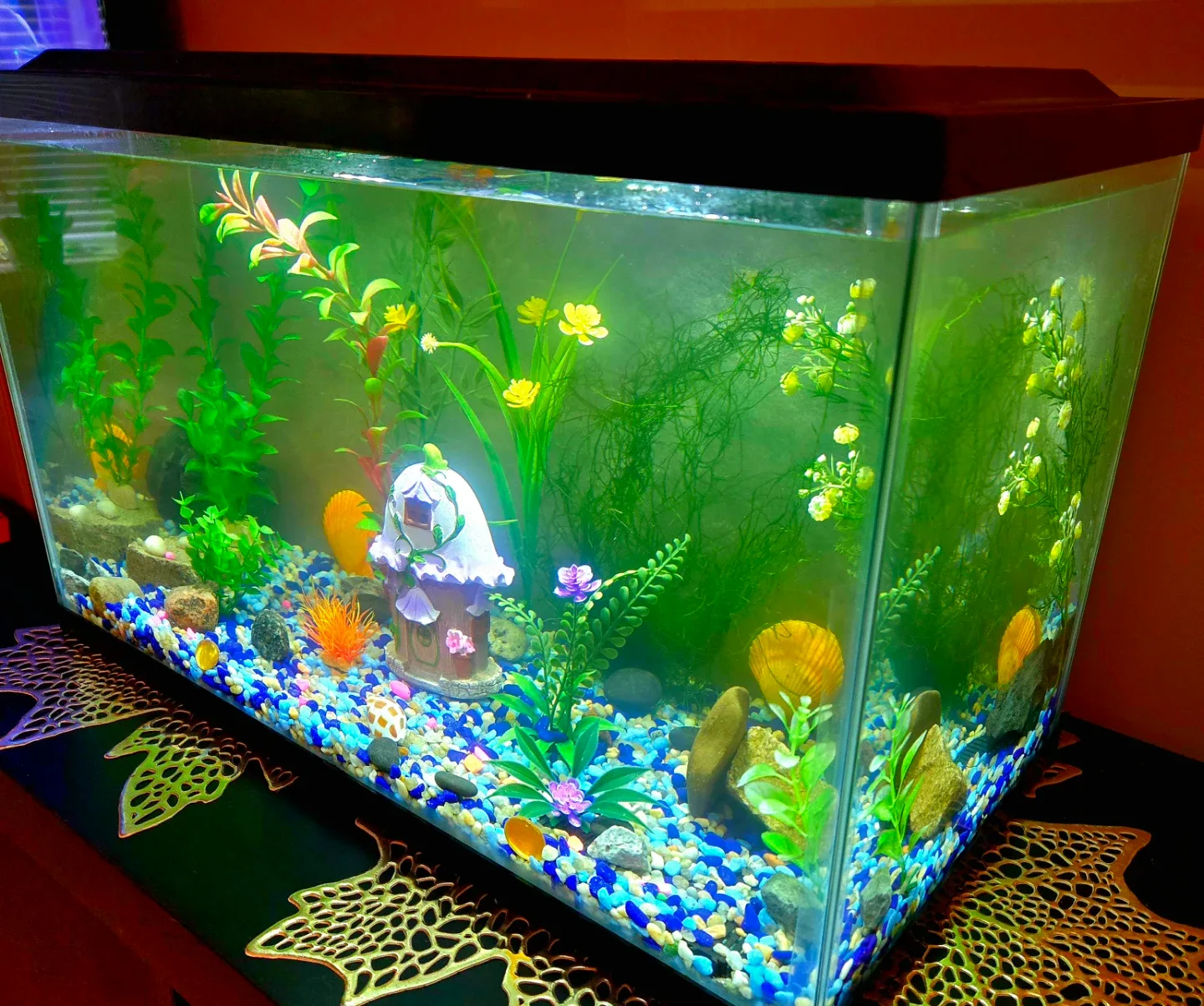 Aquarium for Beginners image indicator(2)