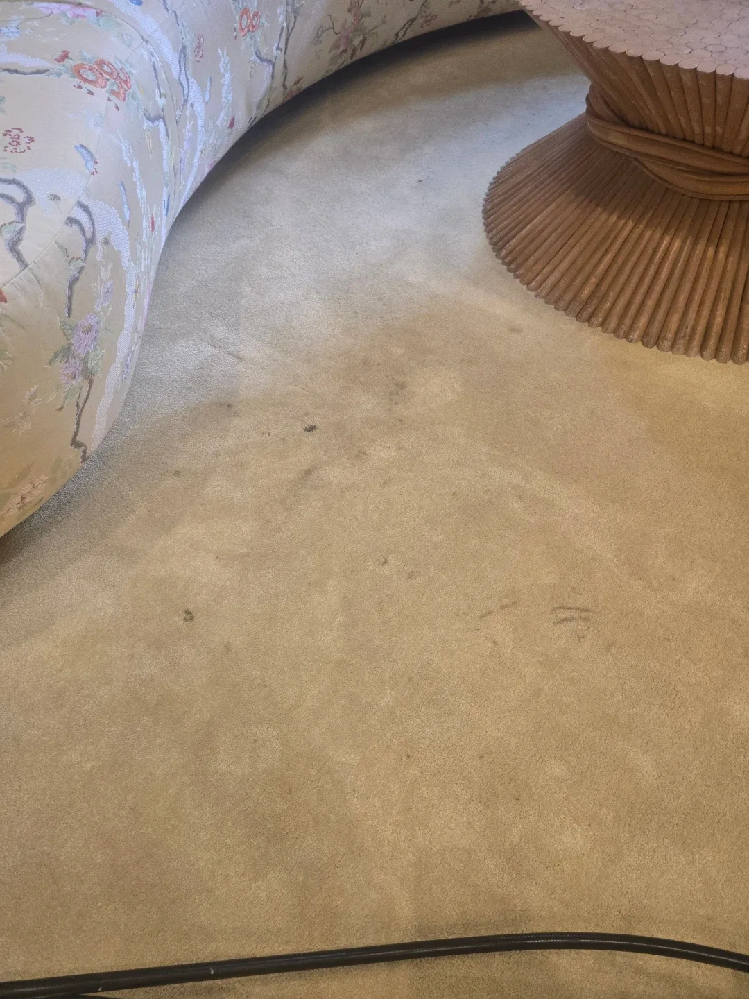 Starupholsterycarpet image indicator(3)