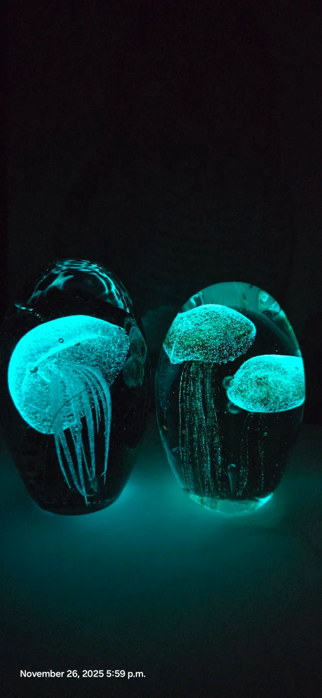 Glass Jellyfish Paperweights image indicator(2)
