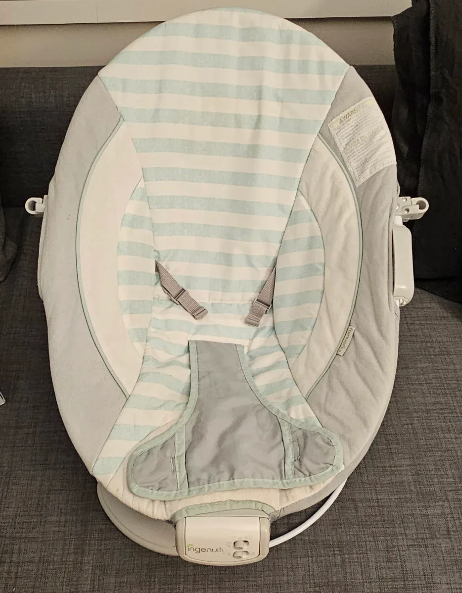 Ingenuity Baby Bouncer