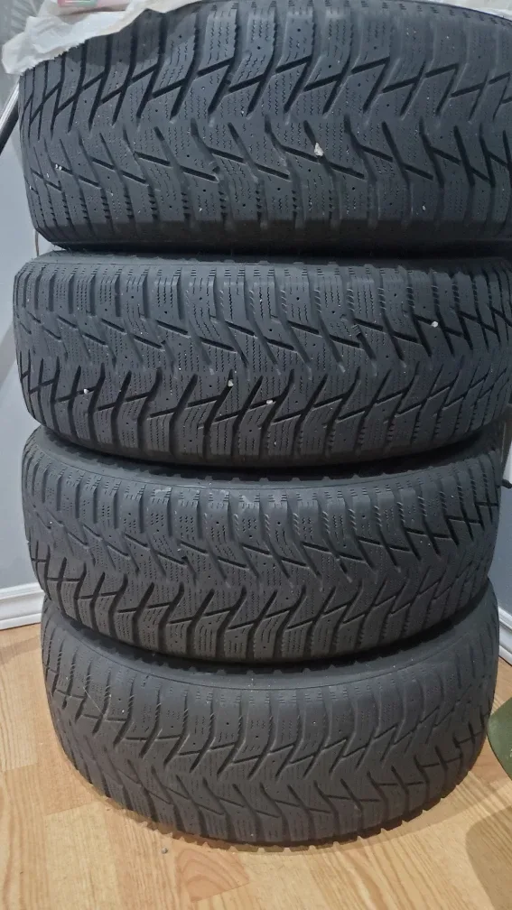 Winter tyres on rim image indicator(2)