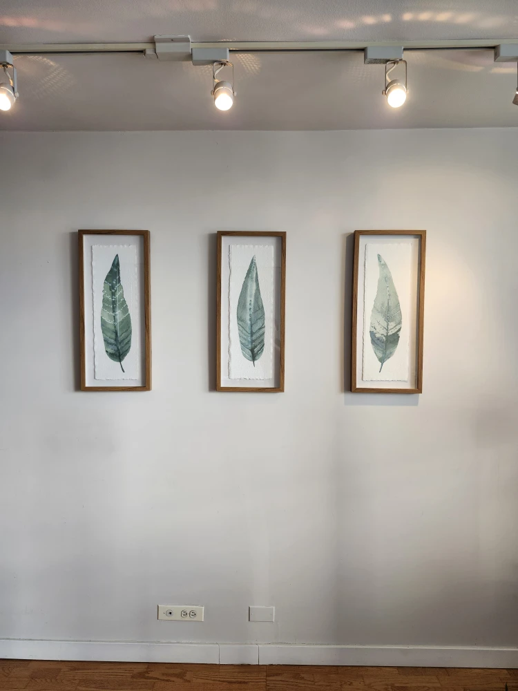 Set of 3 Framed Leaf Prints