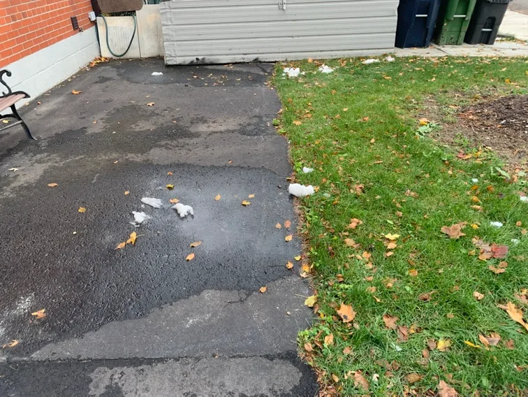 Parkings avail.. For car, SUV, Rv. Up to 20ft Horner/30th st.🥕🥕 image indicator(5)