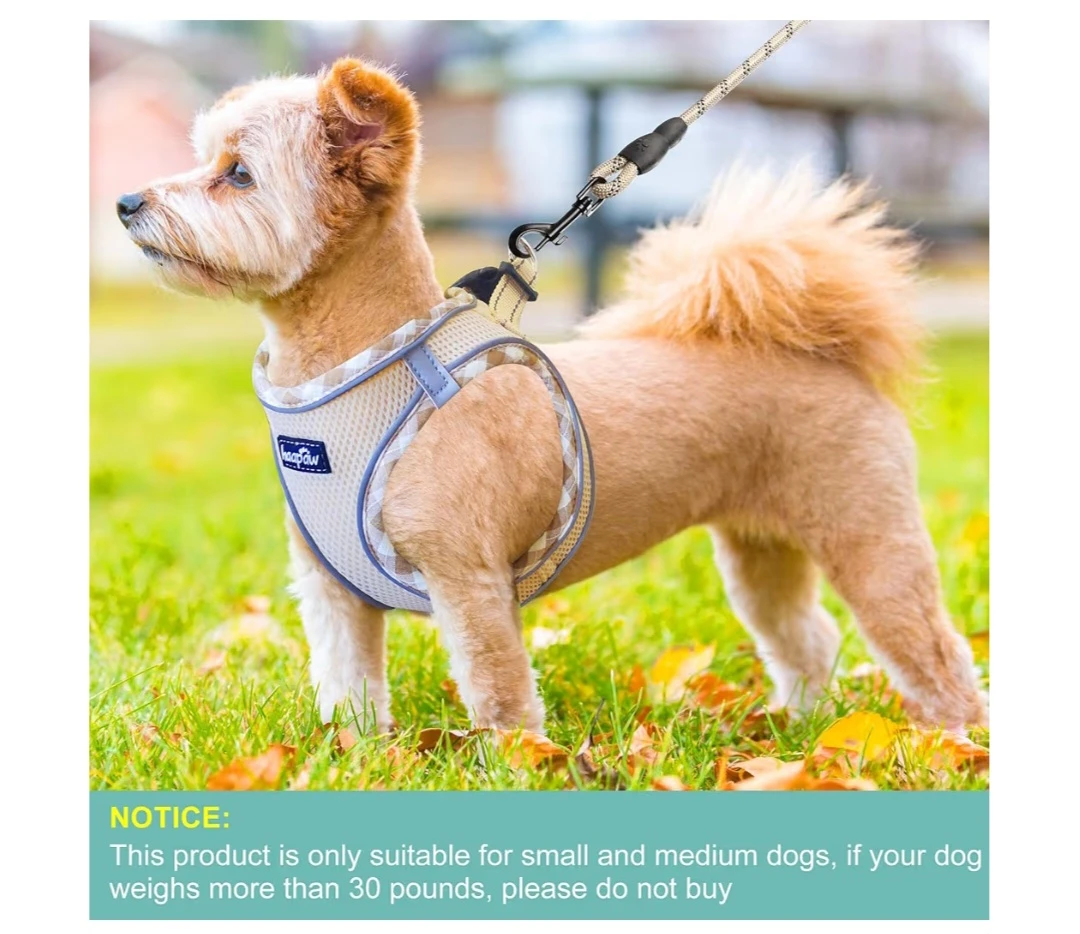 Haapaw Dog Harness - Size L - photo 3