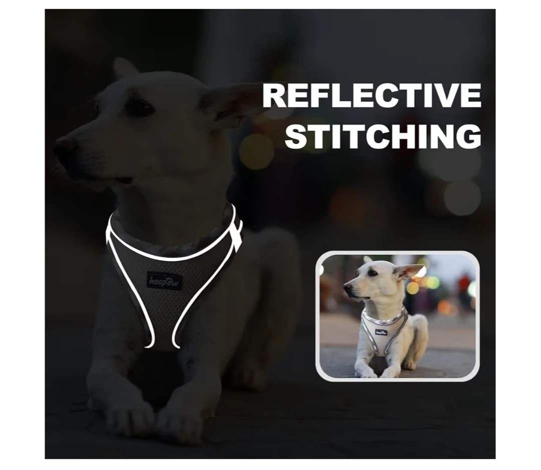 Haapaw Dog Harness - Size L - photo 4