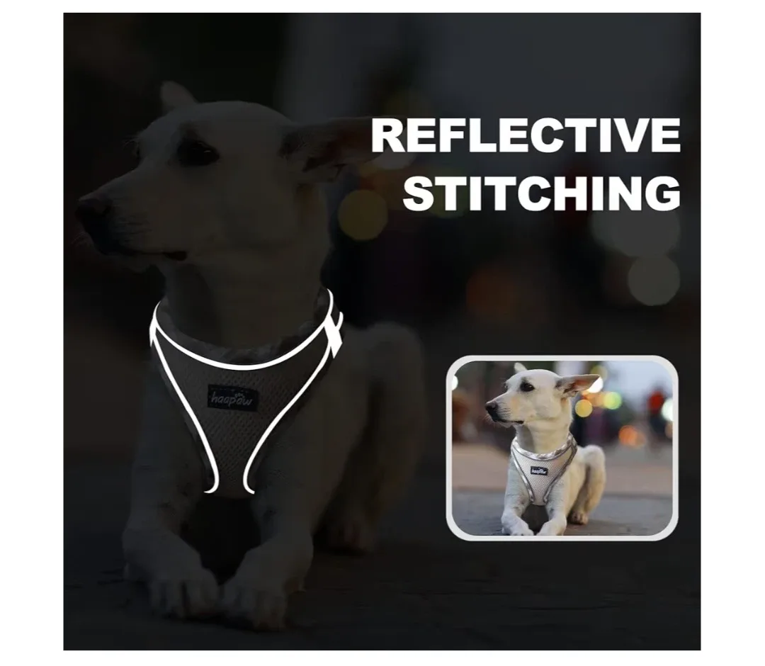 Haapaw Dog Harness - Size L image indicator(4)