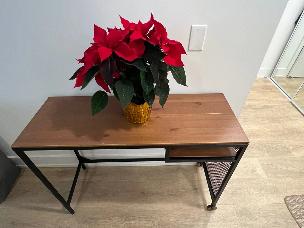 Ikea Wood and Metal Desk