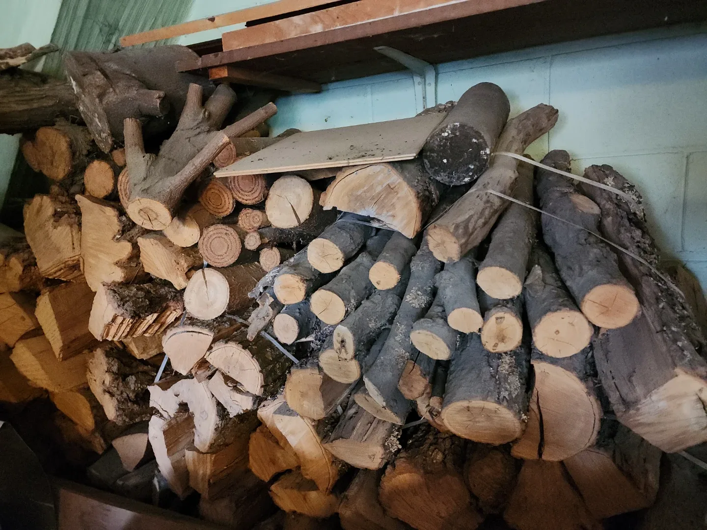 Firewood Logs