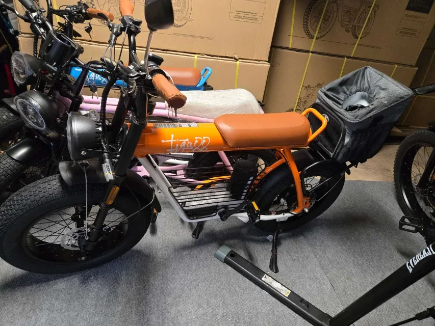 Tiggo 22 Electric Bike