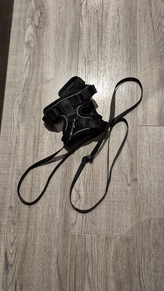 Small Leash - photo 2