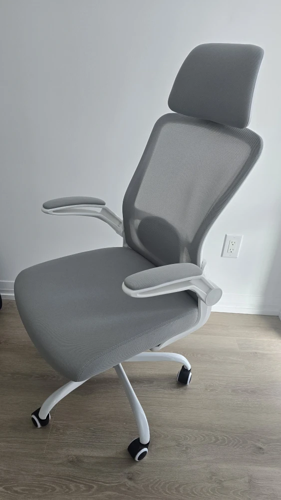 Ergonomic Office Chair