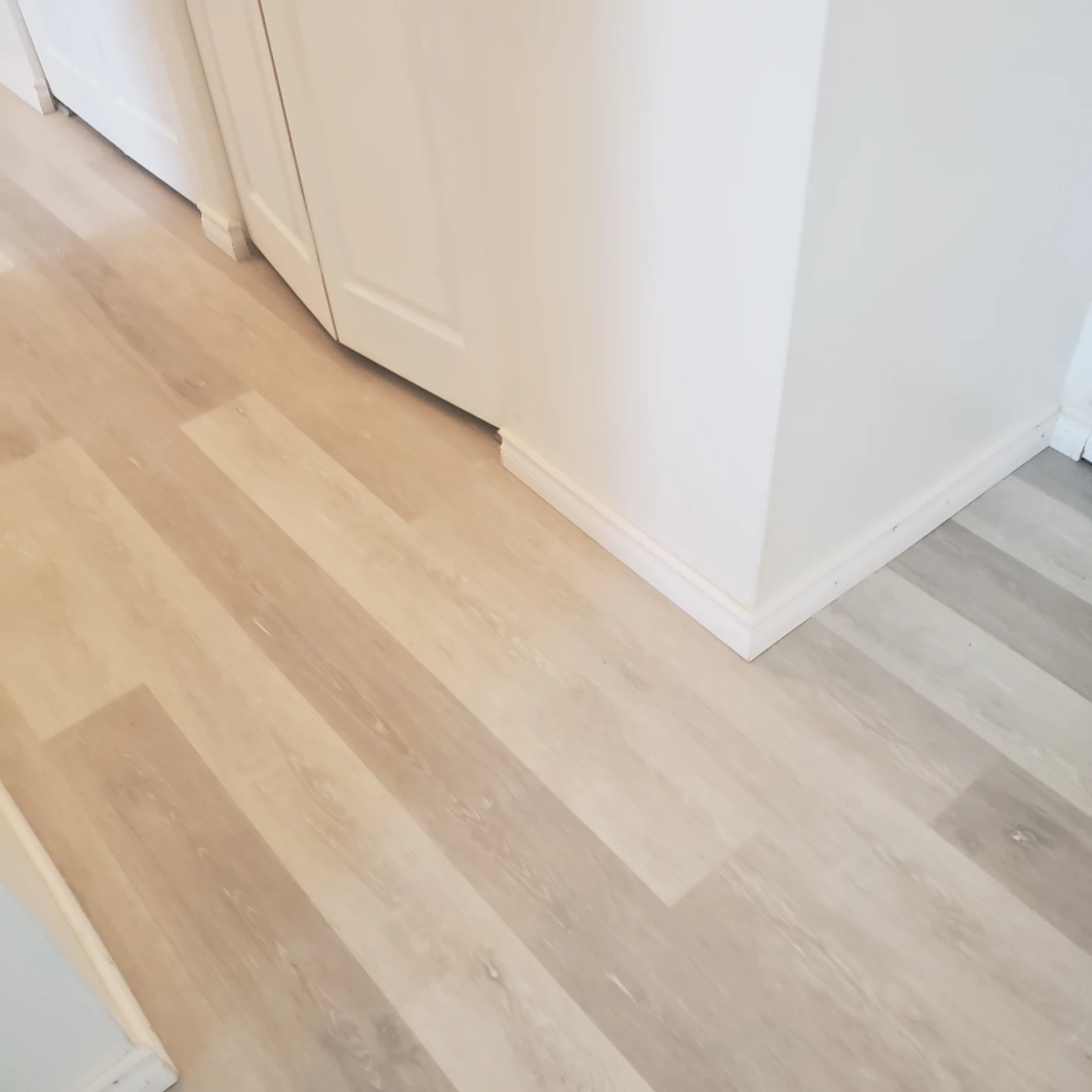 2 bedrooms Condo in Hamilton - photo 4