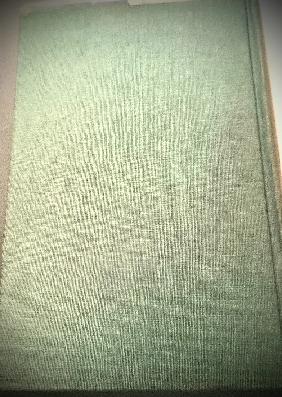 The Romance of Leonardo Da Vinci by Merejkowski image indicator(5)